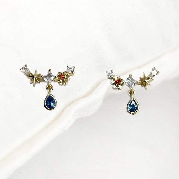 Christmas Night Earrings